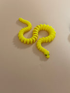 Mini Colorful Snake