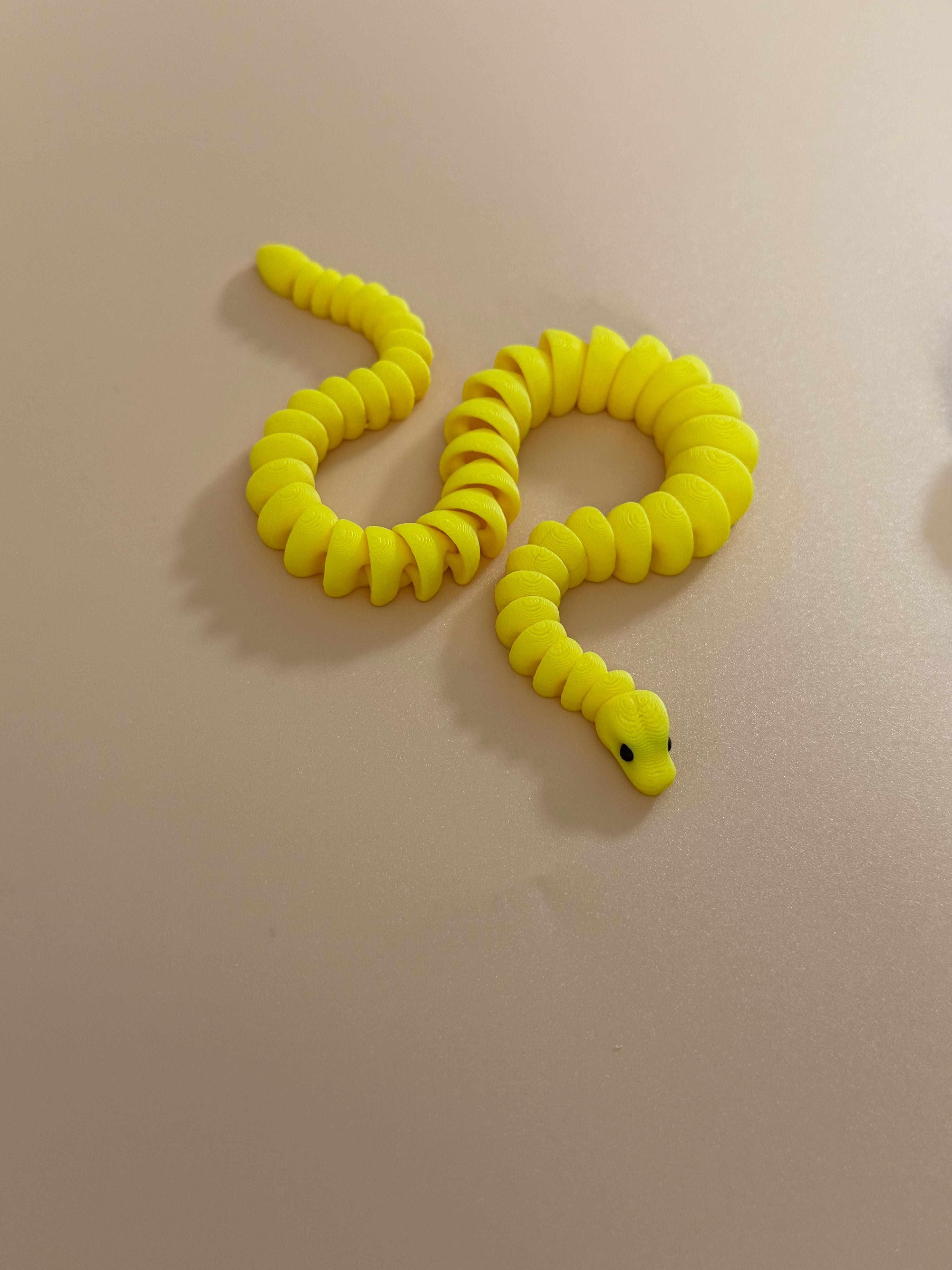 Mini Colorful Snake