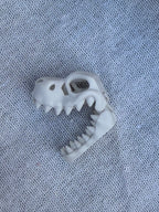 Dinosaur Skeleton Skulls Sensory Bin Filler