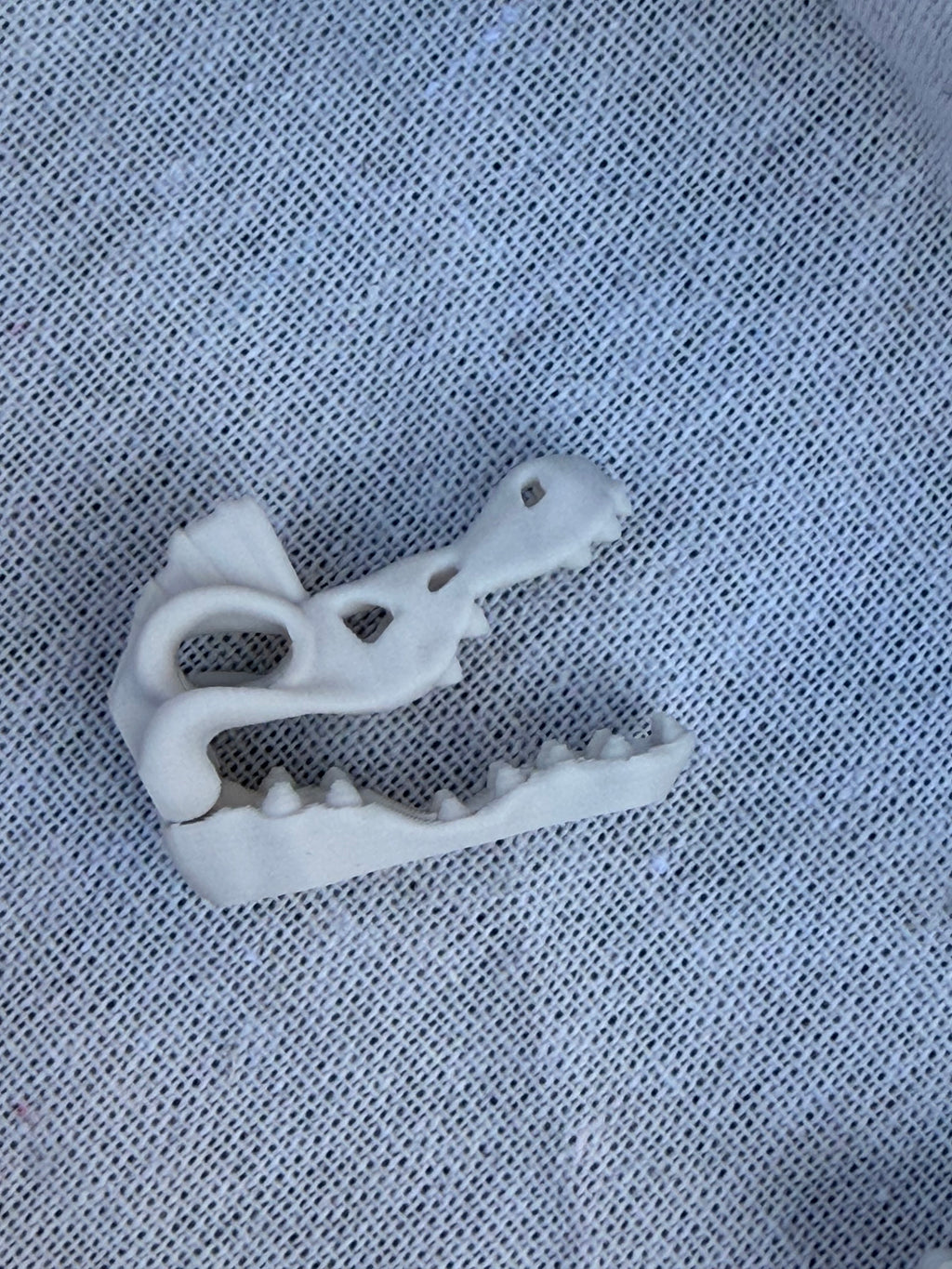 Dinosaur Skeleton Skulls Sensory Bin Filler