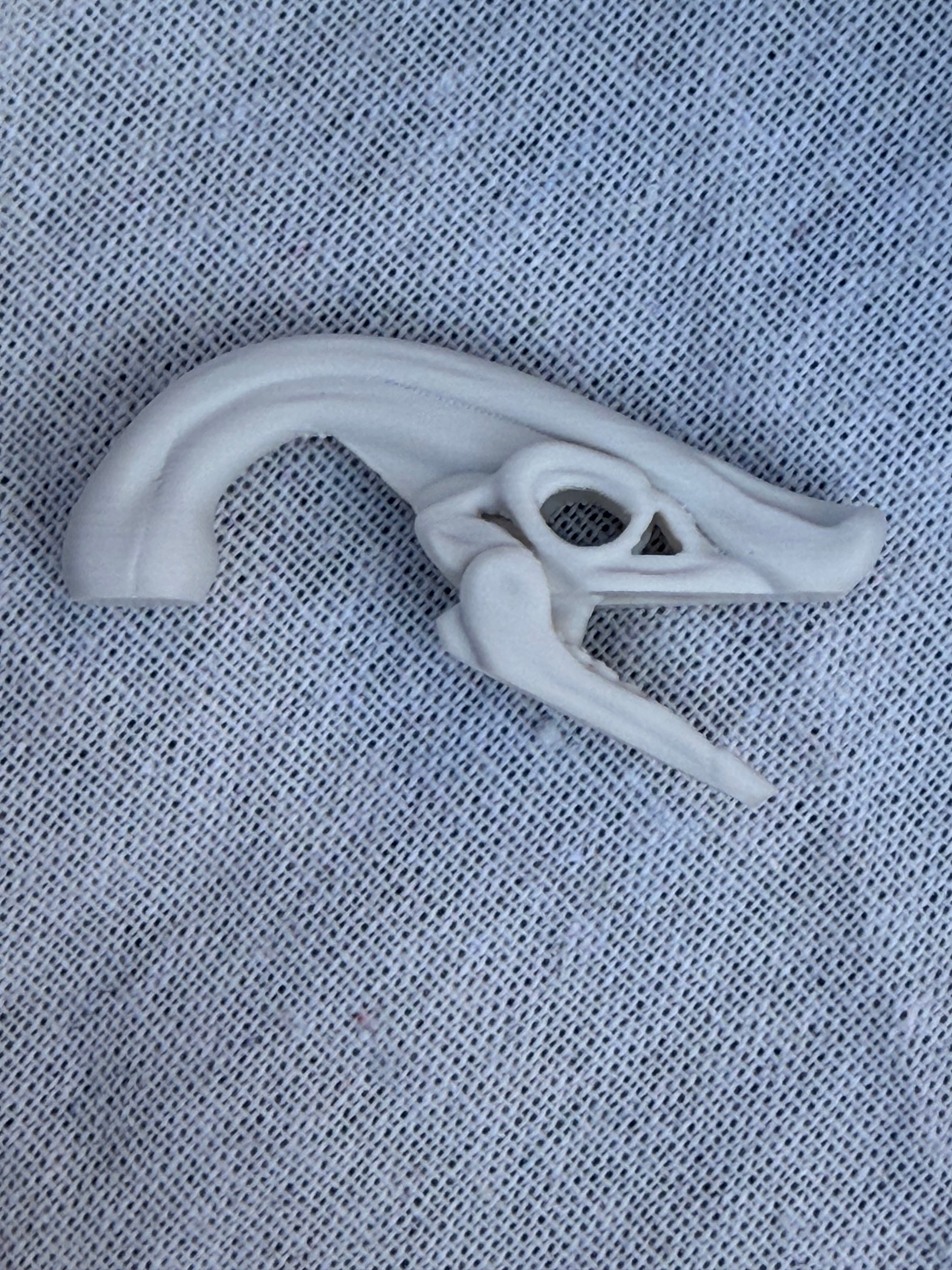 Dinosaur Skeleton Skulls Sensory Bin Filler