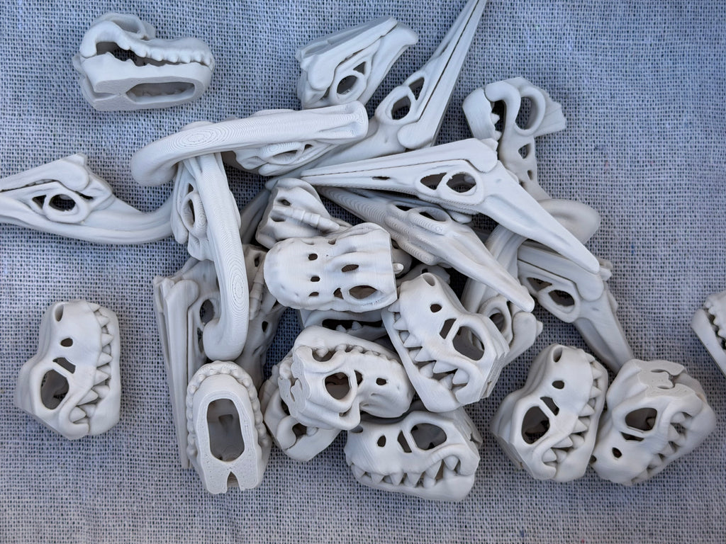 Dinosaur Skeleton Skulls Sensory Bin Filler
