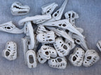 Dinosaur Skeleton Skulls Sensory Bin Filler