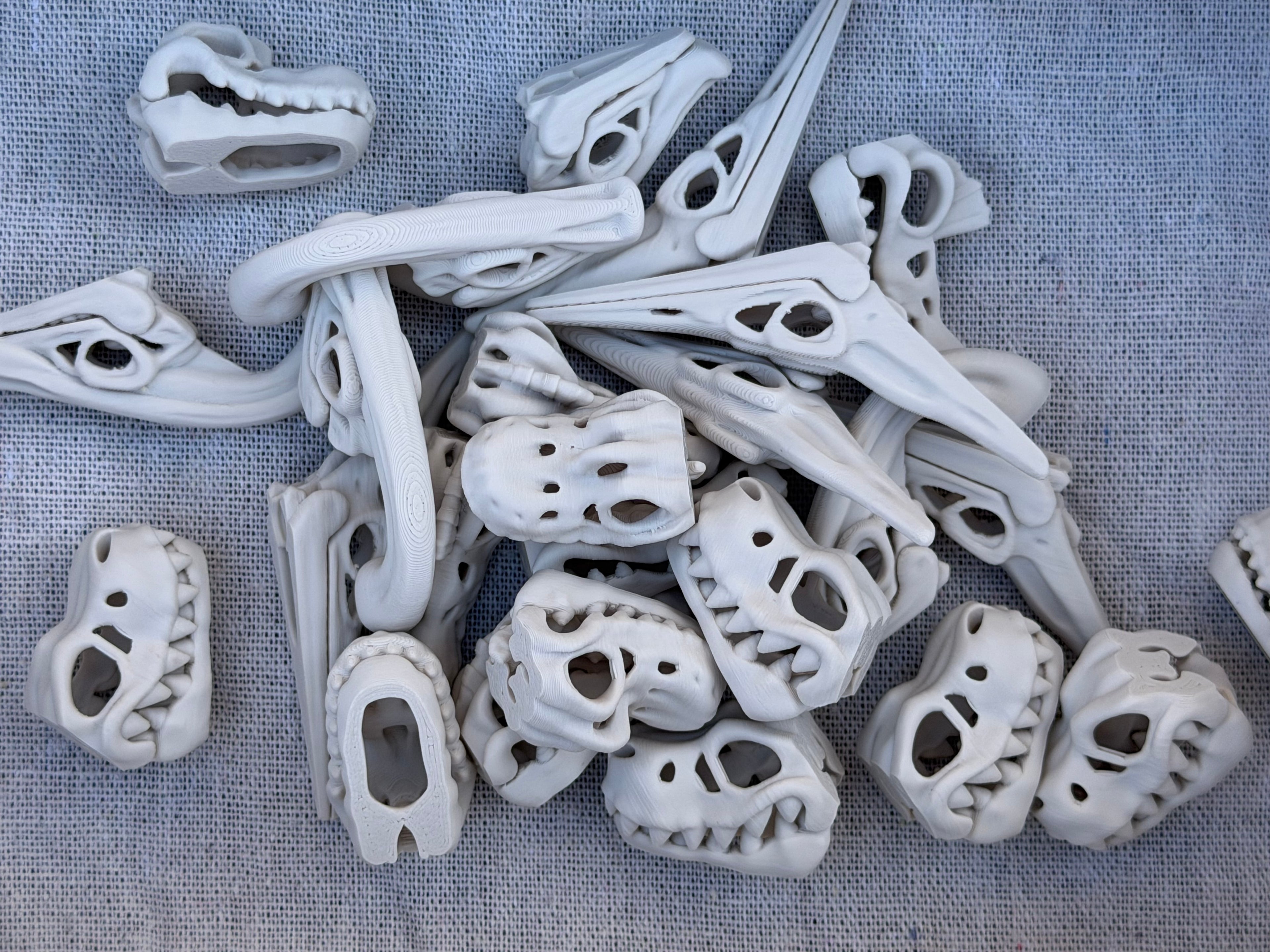 Dinosaur Skeleton Skulls Sensory Bin Filler