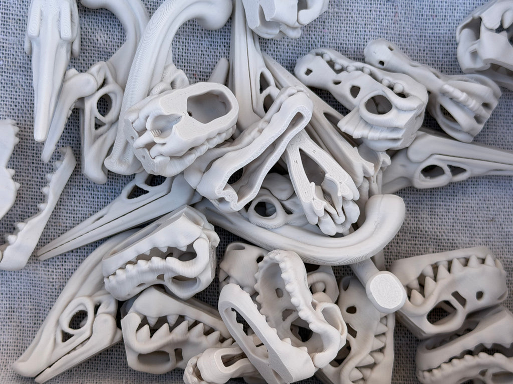 Dinosaur Skeleton Skulls Sensory Bin Filler