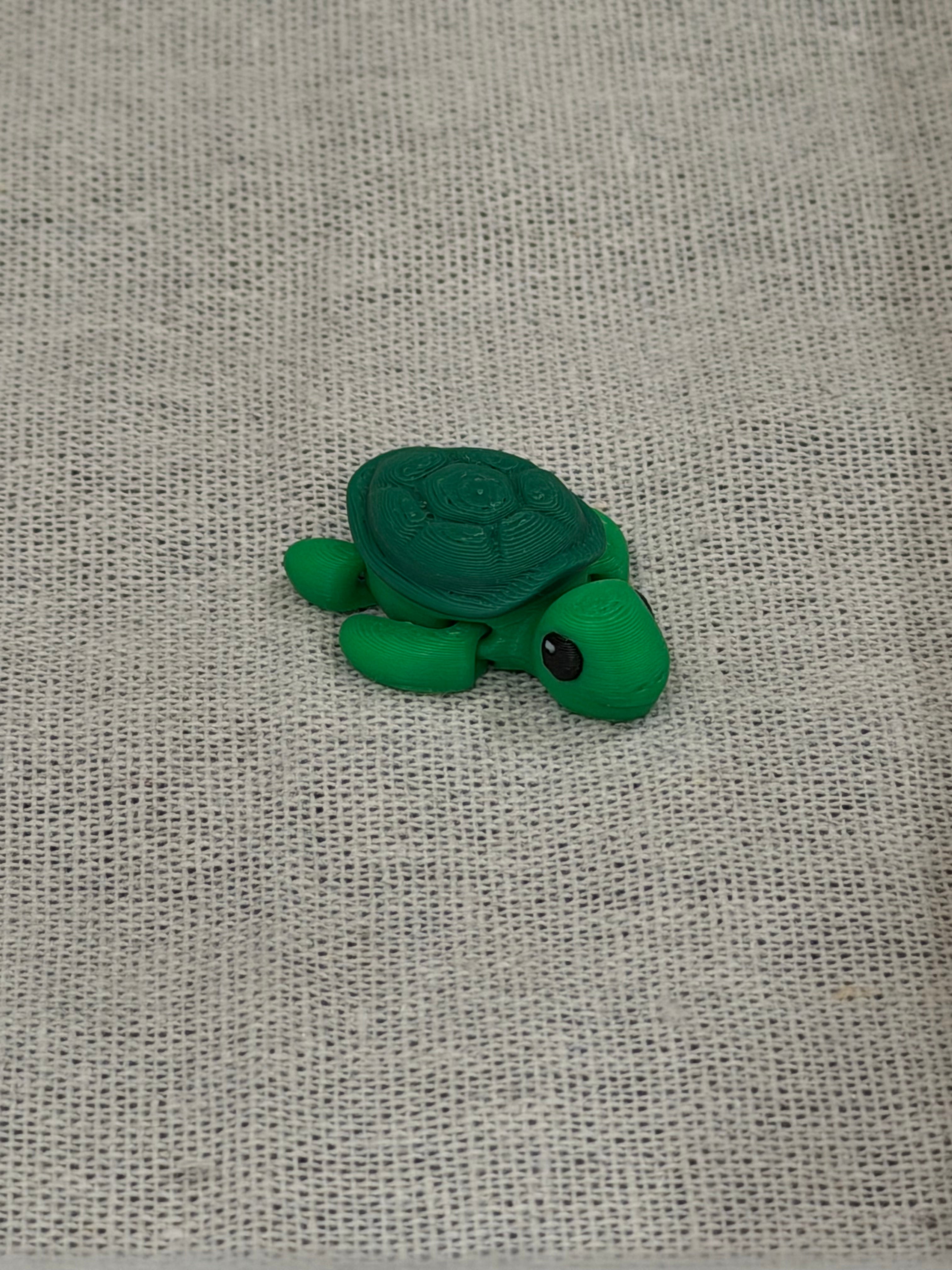 Turtle Flexi