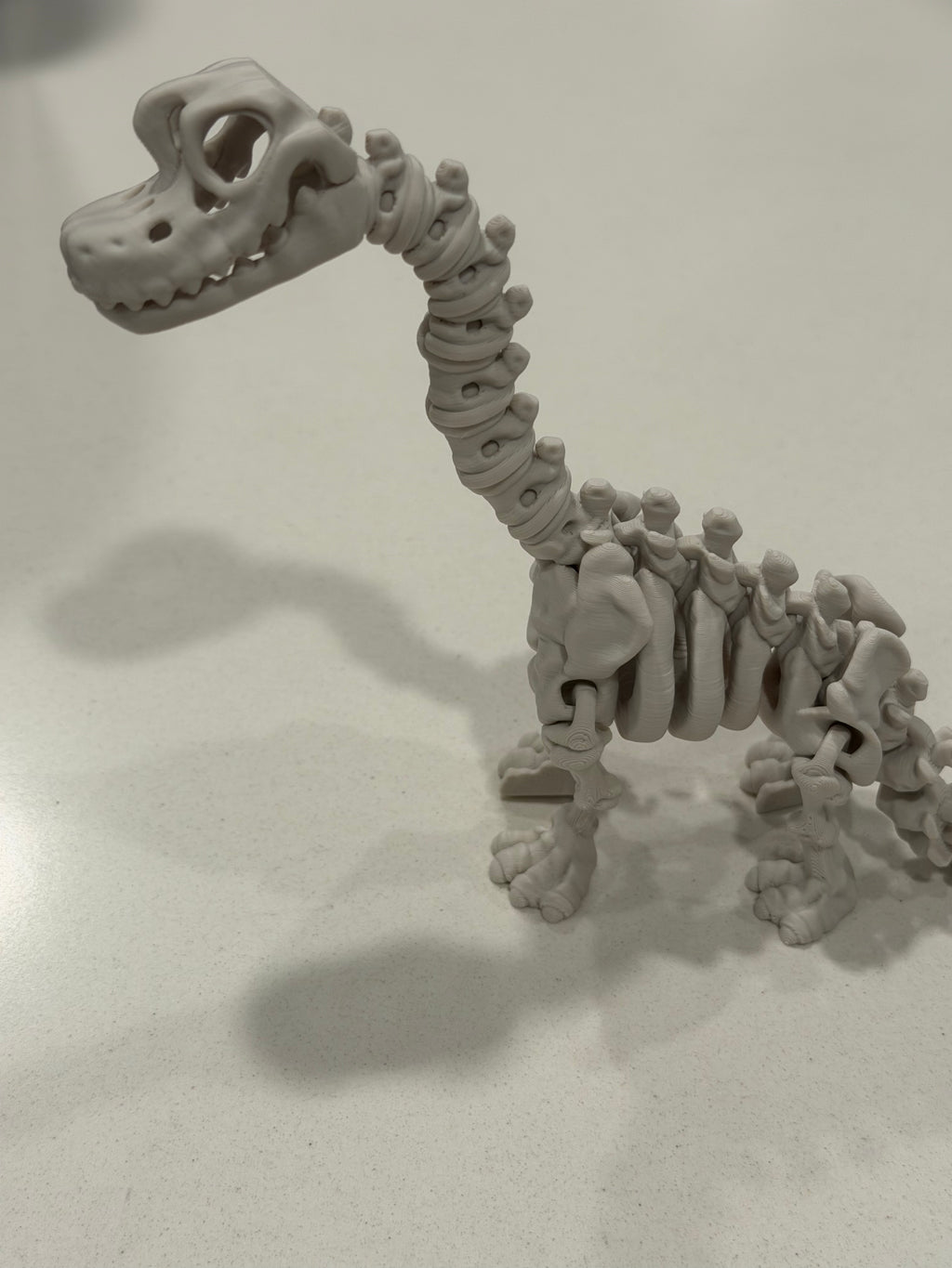 Flexi Skeleton Brachiosaurus