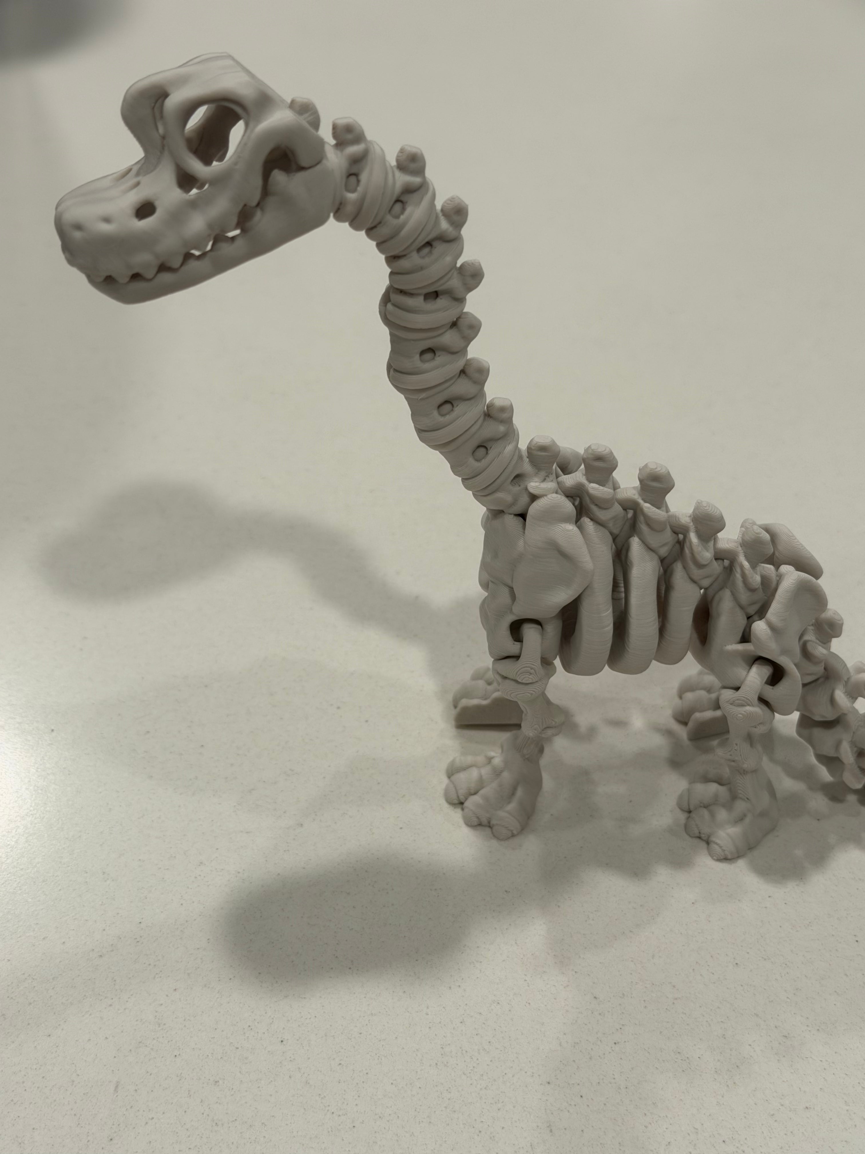 Flexi Skeleton Brachiosaurus