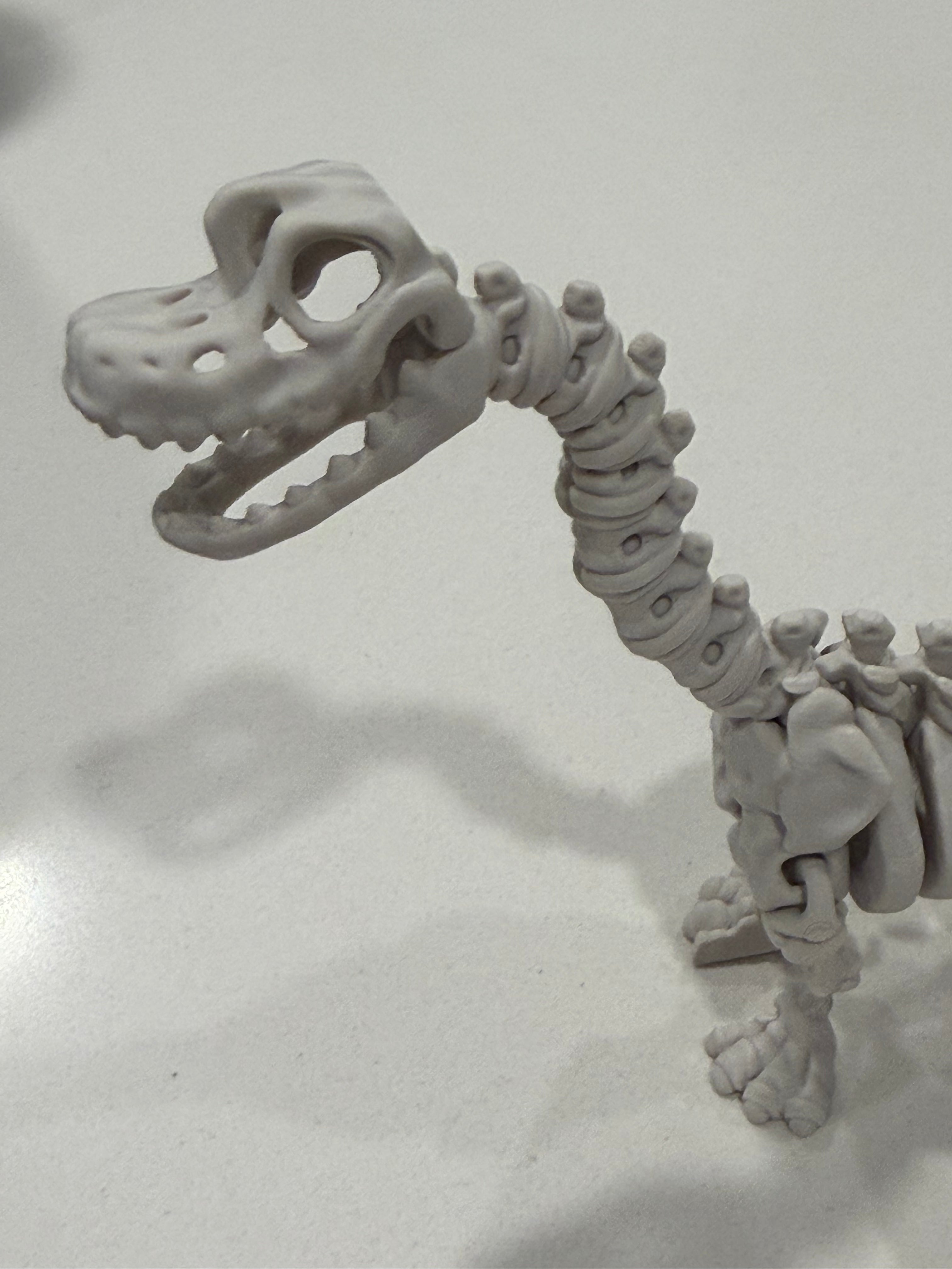 Flexi Skeleton Brachiosaurus
