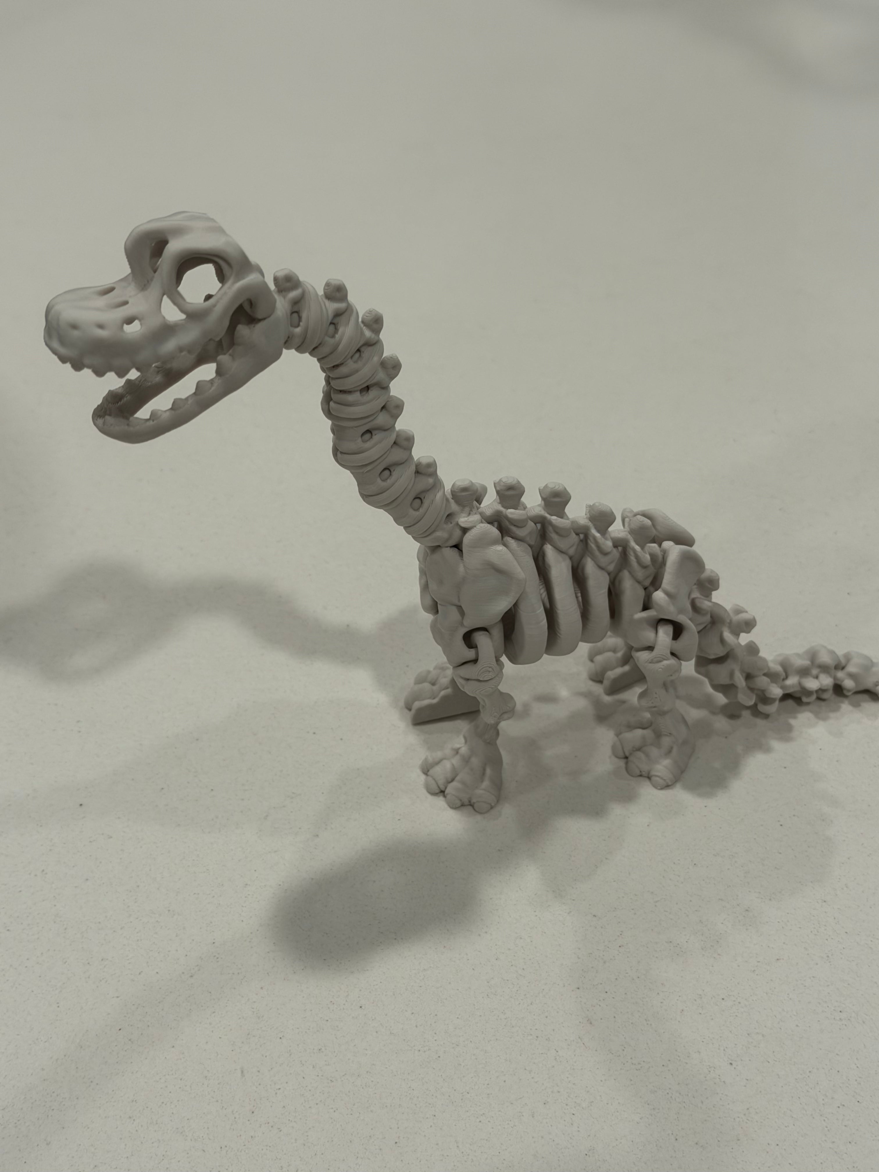 Flexi Skeleton Brachiosaurus