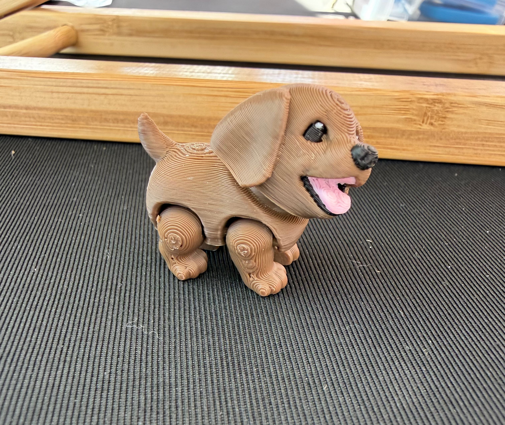 Lab Puppy Flexi Fidget
