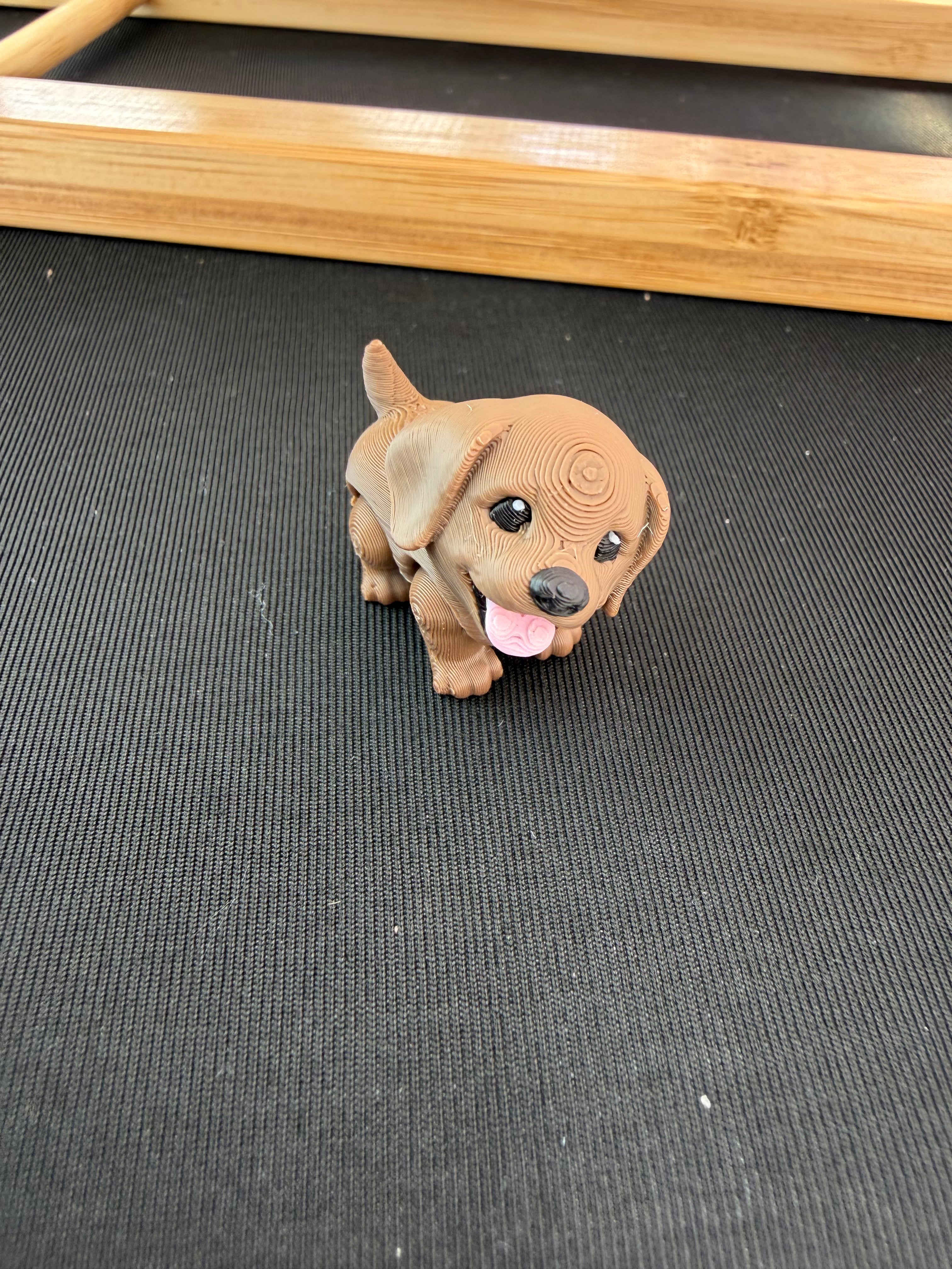 Lab Puppy Flexi Fidget