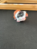 Guinea Pig Flexi Fidget