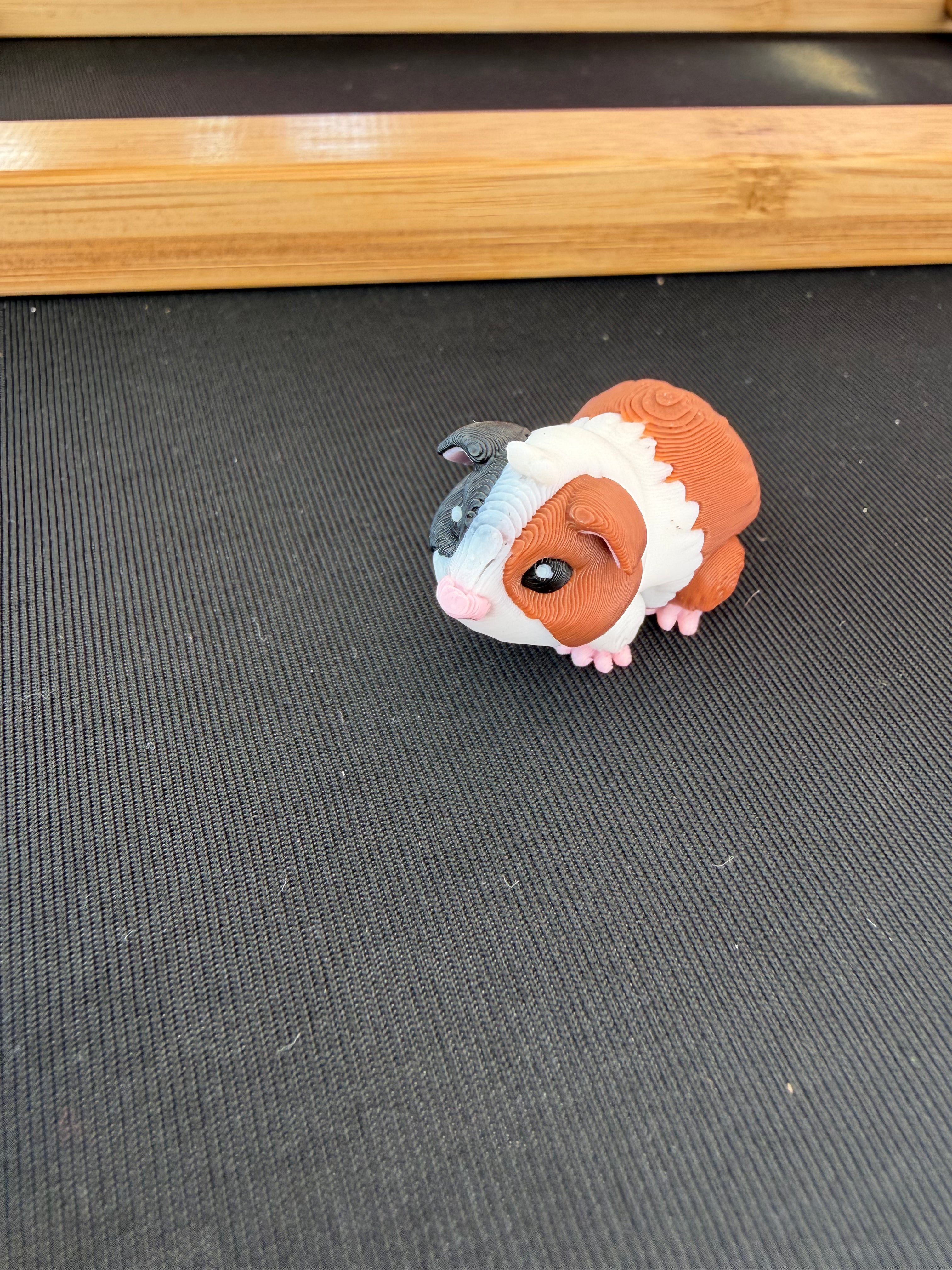 Guinea Pig Flexi Fidget