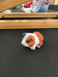 Guinea Pig Flexi Fidget