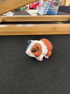 Guinea Pig Flexi Fidget