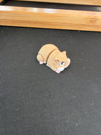 Hamster Flexi Fidget
