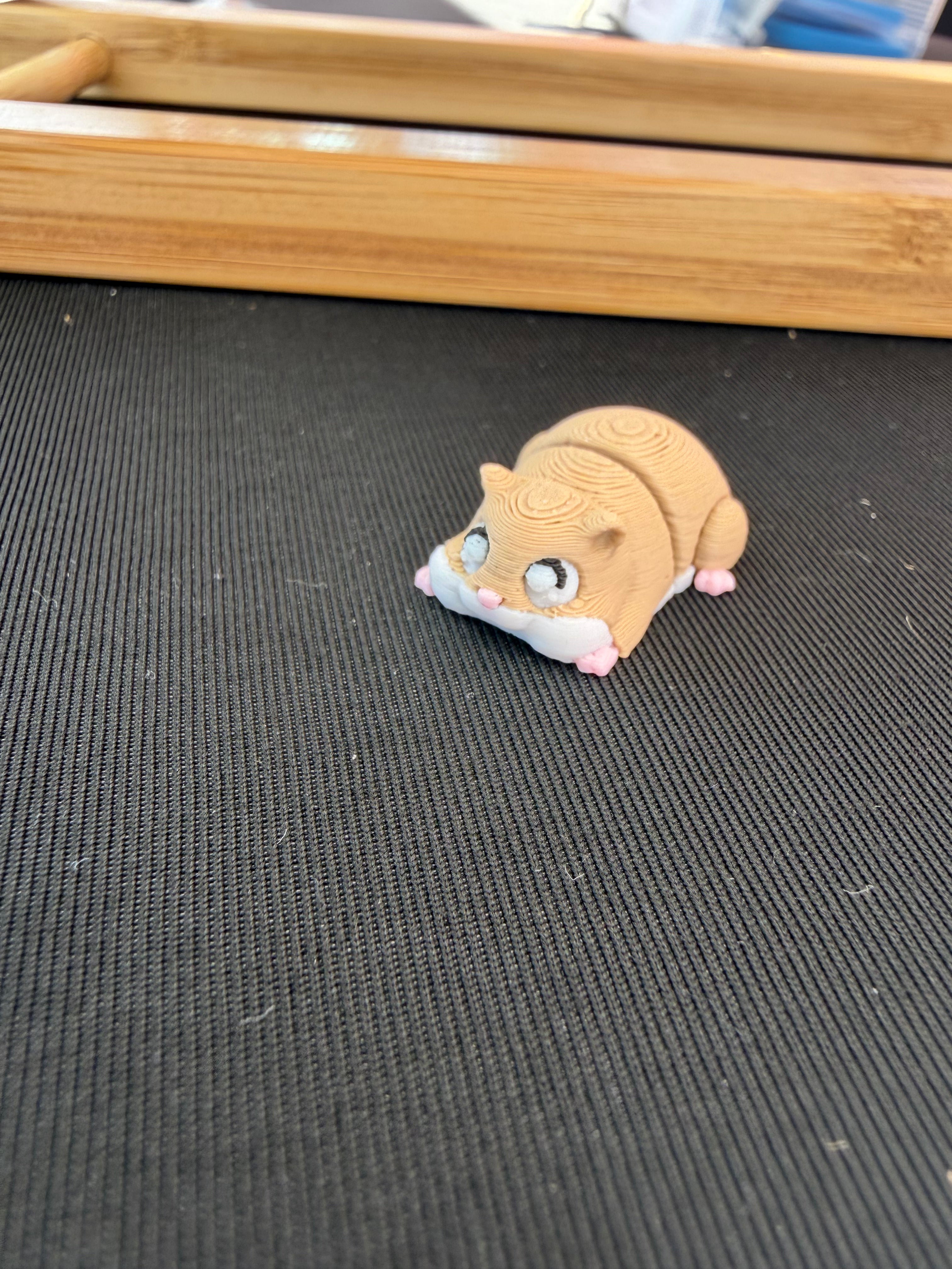 Hamster Flexi Fidget