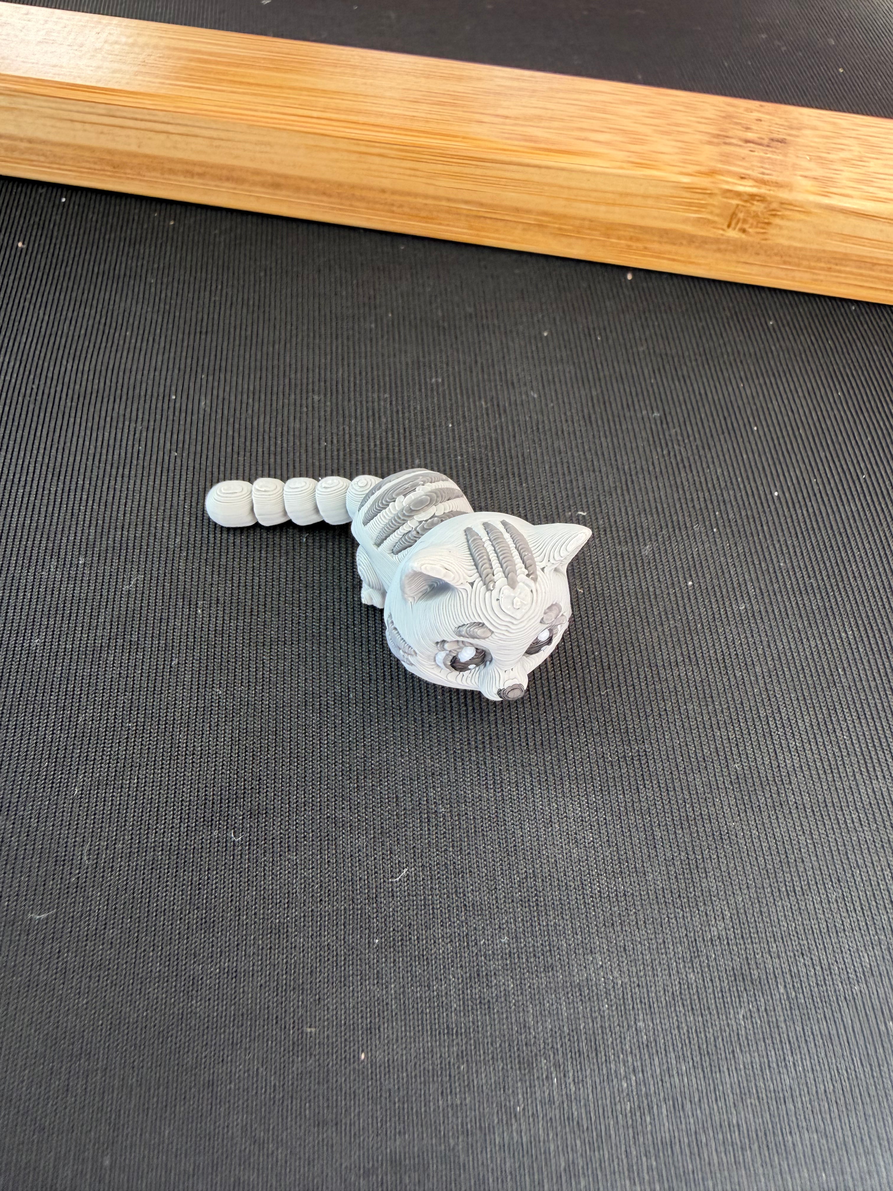 Cat Kitten Flexi Fidget