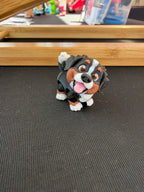 Bernese Mountain Dog Flexi Fidget