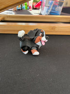 Bernese Mountain Dog Flexi Fidget
