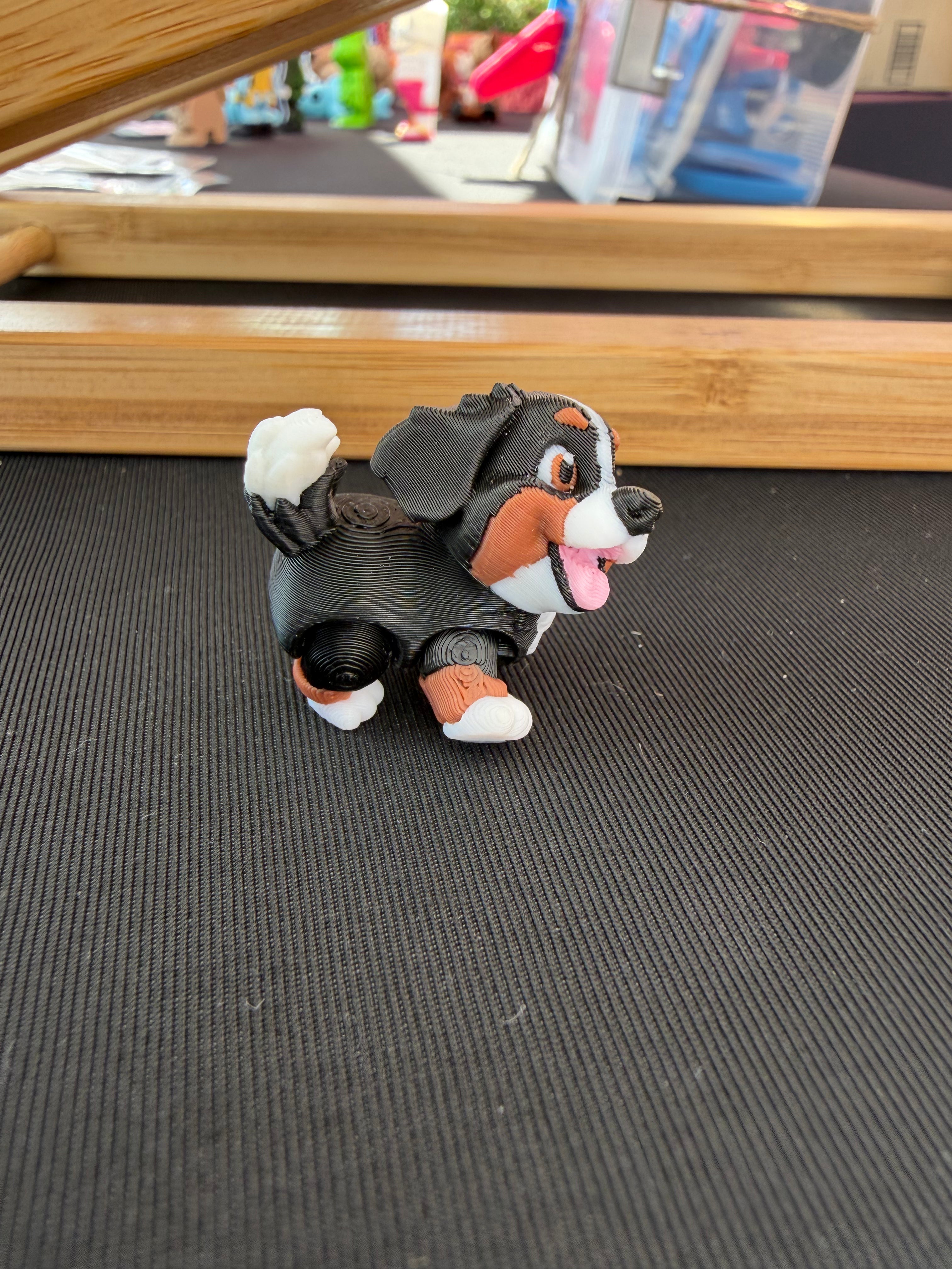 Bernese Mountain Dog Flexi Fidget