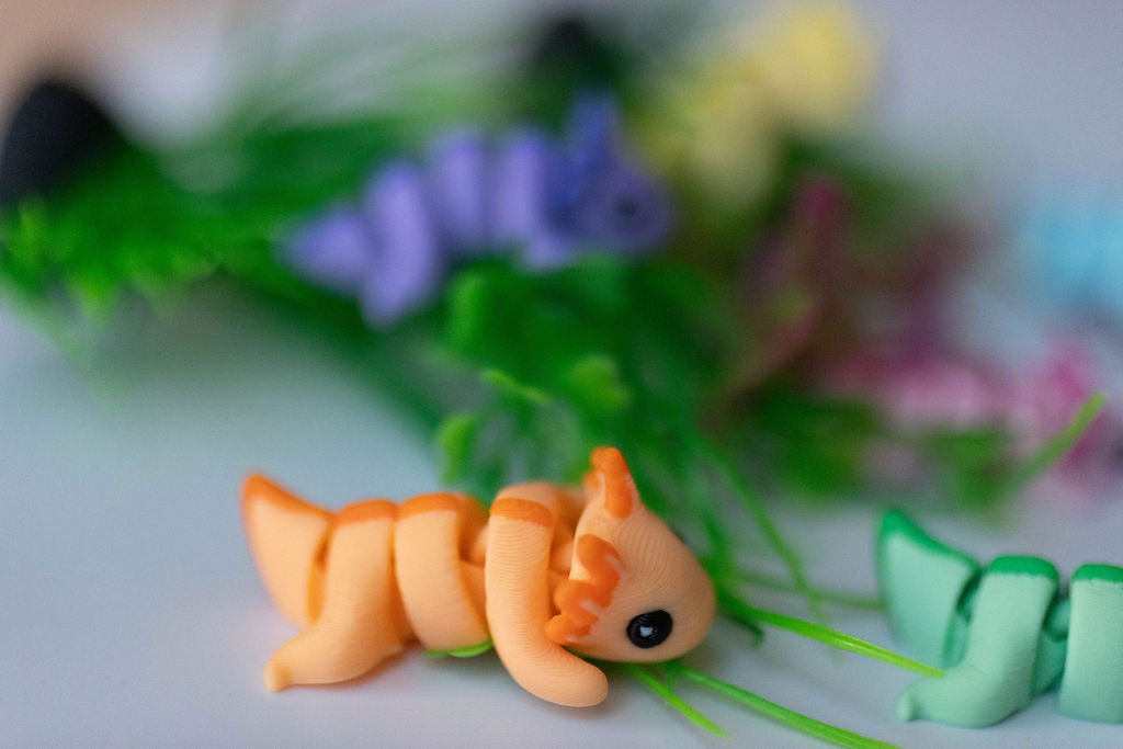 Axolotl (Orange)