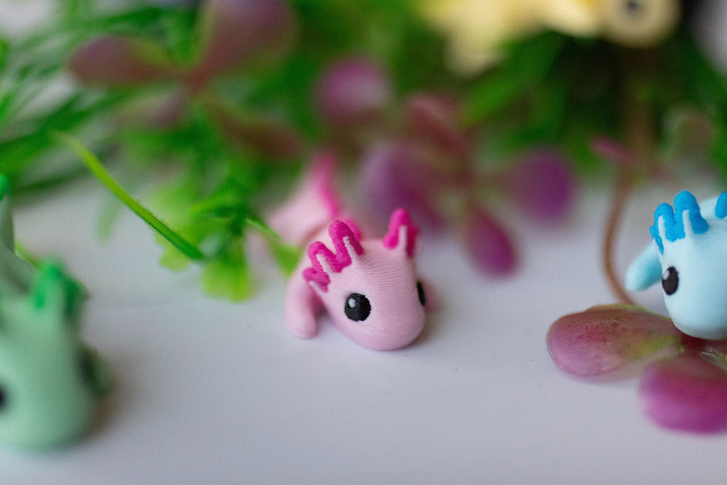 Axolotl