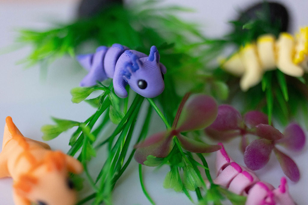Axolotl (Purple)