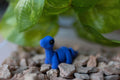 Brontosaurus Keychain
