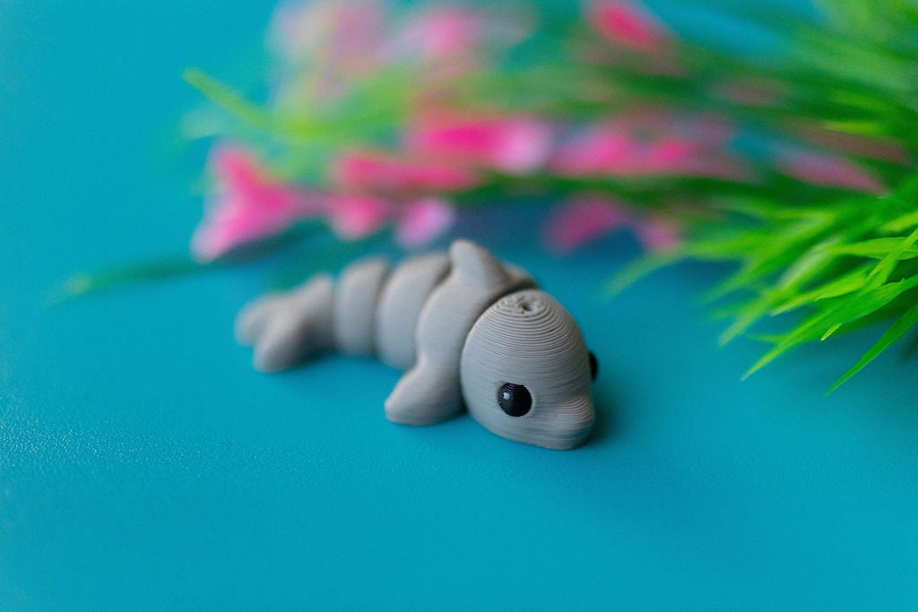 Dolphin