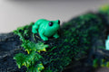 Frog Keychain
