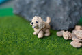Golden Doodle Flexi