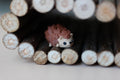 Hedgehog