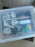 Dinosaur Sensory Bin Kit