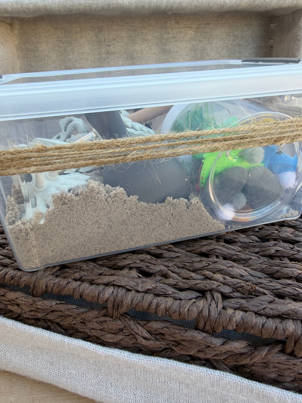 Dinosaur Sensory Bin Kit