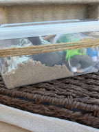 Dinosaur Sensory Bin Kit